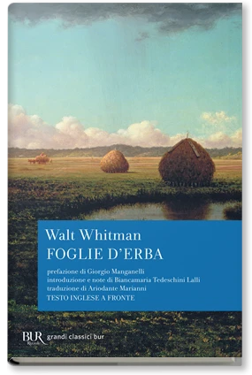 Foglie d'erba