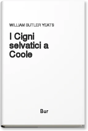 I cigni selvatici a Coole