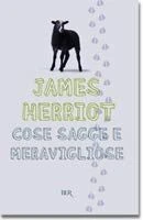 Cose sagge e meravigliose