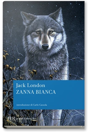 Zanna bianca