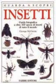 Insetti