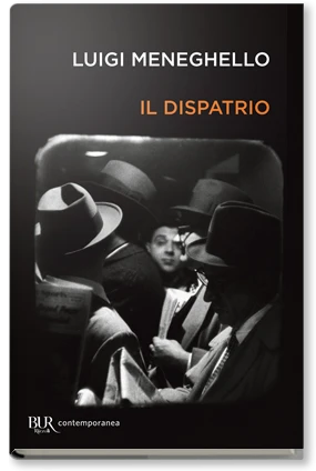 Il dispatrio