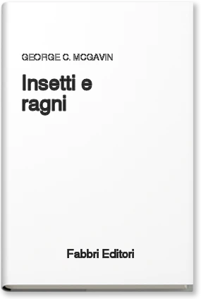 Insetti e ragni