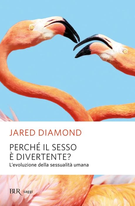 Perchè il sesso è divertente