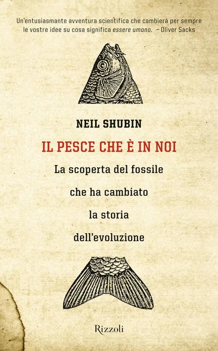 Il pesce che è in noi