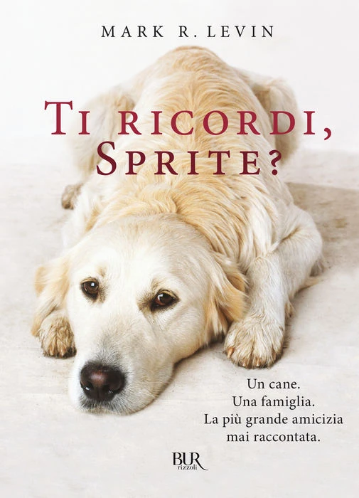 Ti ricordi, Sprite?