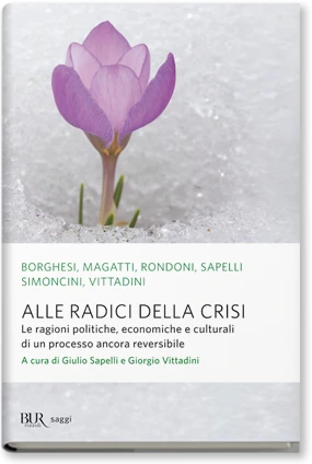 Alle radici della crisi