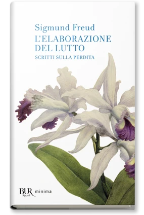 L'elaborazione del lutto