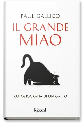 Il grande miao