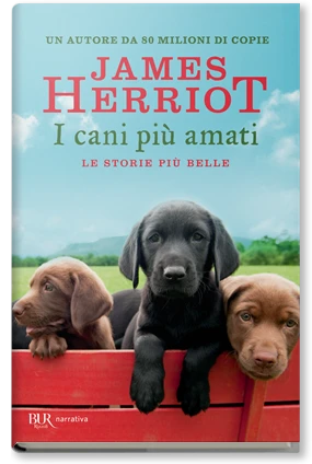 I cani più amati, le storie più belle