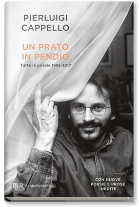 Un prato in pendio