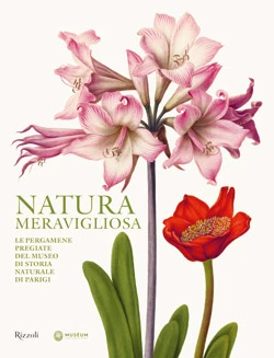 Natura meravigliosa