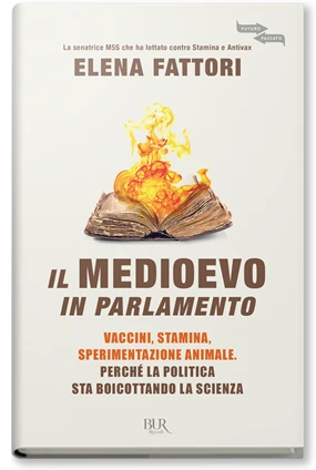 Il medioevo in parlamento
