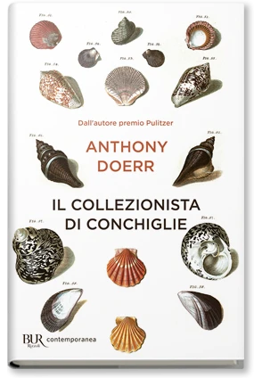 Il collezionista di conchiglie