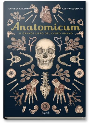 Anatomicum