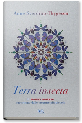 terra insecta