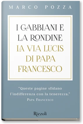 I gabbiani e la rondine