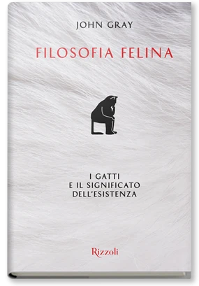 Filosofia felina