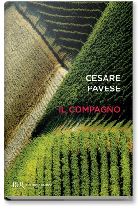 Il compagno
