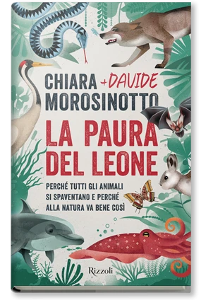 La paura del leone