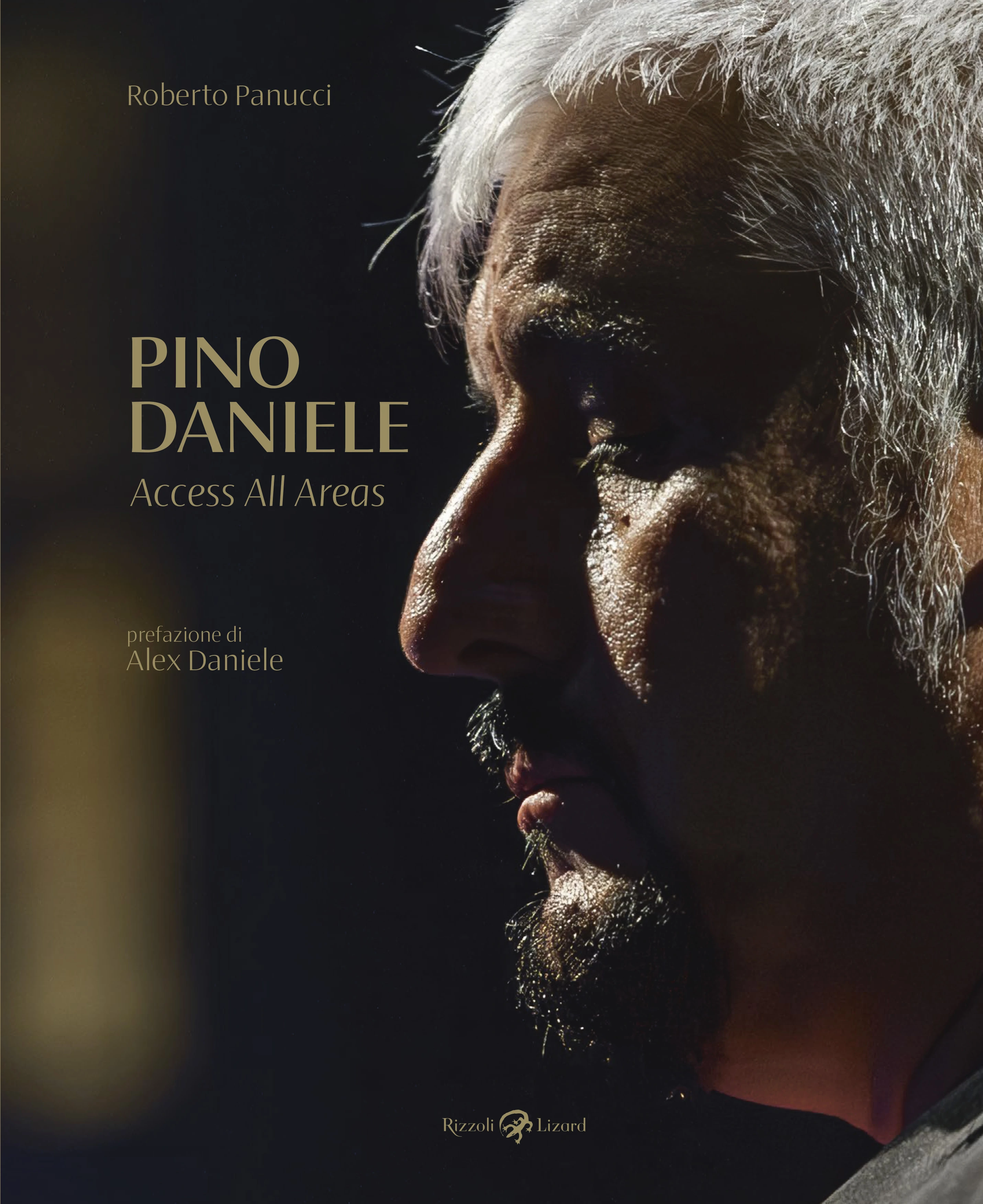 Pino Daniele - Access all areas