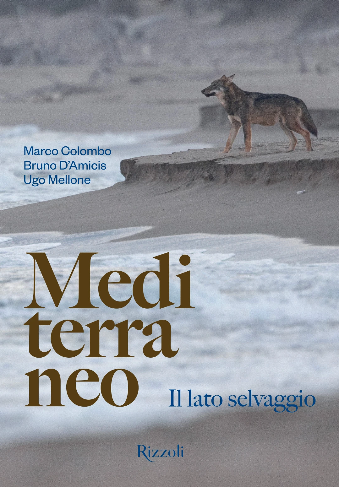 MEDITERRANEO